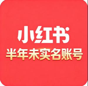 购买半年小红书白号 历史空白 无违规记录 主页干净 未实名 即买即用